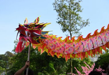 Çin Ejder Dansı gösterisinin kapanışı Singapur 'daki Mandai Kuş Cenneti' nde ejderhanın Çin Yeni Yılı sırasında gerçekleşti..