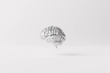 Beyaz arka planda beyaz beyin. İş kavramı, beyin fırtınası, cevaplar, fikirler. İstihbarat. 3d görüntüleme, 3d illüstrasyon.