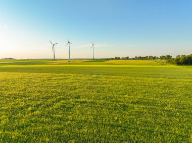 Rüzgar enerjili türbinlerin hava aracı görüntüsü, bir rüzgar çiftliğinin parçası. Kırsal bölgedeki yeşil alanda rüzgar türbinleri. Rüzgar santrali.
