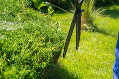 Bahçede çalış. Adam bir budama makinesiyle dalları ve çalıları kesiyor. Bahçeyle ilgilenme kavramı.