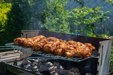 Açık havada ızgara, barbekü. Açık havada ızgara sosis ve tavuk..