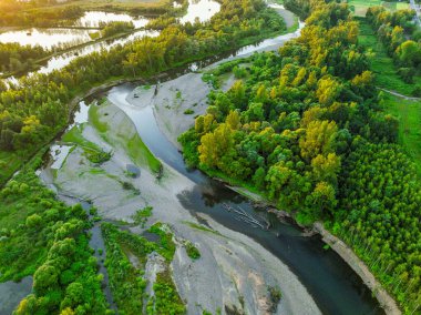 Ormanın ortasında kayalık bir nehir. Gökyüzünü yansıtan sakin nehrin havadan görünüşü, yemyeşil bir manzara, hava manzarası. Ormandaki bir dağ nehri manzarası.