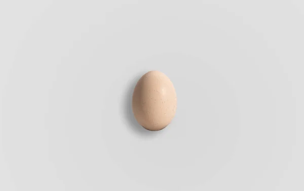 Huevo Pollo Concepto Huevo Mucha Proteína Comer Huevos Revueltos Cáscaras —  Fotos de Stock