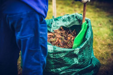 Yaprakları tırmıklayıp çöpe atıyorlar. Bahçeyi toparlamak, bahçıvanlık sezonuna hazırlanmak..