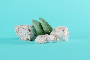 Mavi arka planda granit taşlar, yaprak gölgesi ve yeşil bitkiler. Soyut arkaplan kavramı, ürün ve ürün imajı için arka plan. 3B görüntüleme, 3B illüstrasyon.