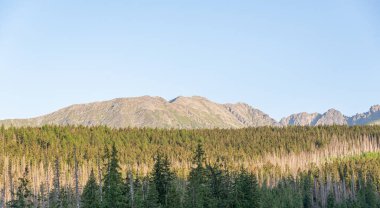 Dağların manzarası ve dağ manzarası. Güzel bir dağ manzarası konsepti, turizm.