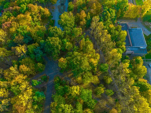 Sonbahar Parkındaki Drone Dan Sarı Kırmızı Yapraklı Görüntü Park Kavramı — Stok fotoğraf