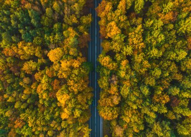 Sonbahar ormanı boyunca bir İHA 'dan yol manzarası. Sonbahar ormanı ve yol havadan görünüyor..
