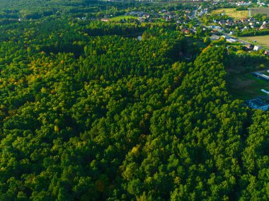 Ormanın büyük bölgelerinde havadan bir manzara. Orman manzarası konsepti, büyük orman. Çevresel koruma, doğaya özen.