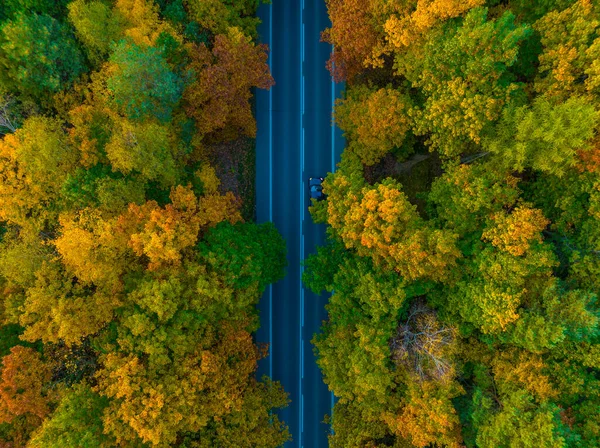 Vista Della Strada Attraverso Foresta Autunnale Drone Veduta Aerea Della — Foto Stock