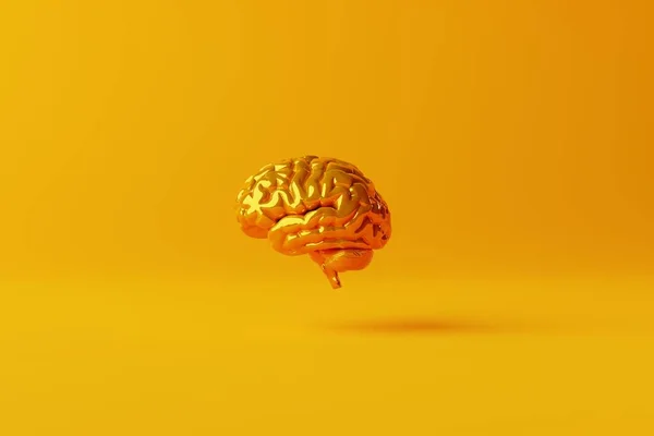 Žlutý Mozek Oranžovém Pozadí Obchodní Koncepce Mozkové Bouře Hledání Odpovědí — Stock fotografie
