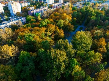 Sonbahar parkındaki drone 'dan sarı, kırmızı yapraklı görüntü. Park kavramı, sonbahar..