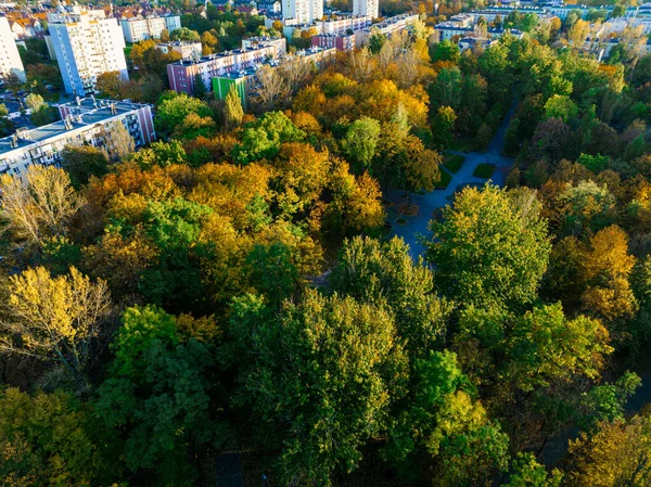 Вид Беспилотника Осенний Парк Желтыми Красными Листьями Концепция Парка Осень — стоковое фото