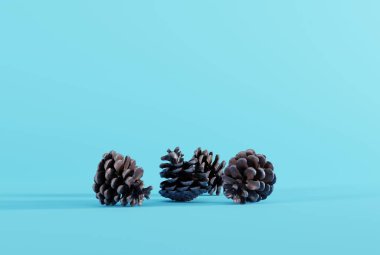 Mavi arka planda çam kozalakları. Koni kavramı, tatiller, Noel ağacı, doğa. 3B görüntüleme, 3B illüstrasyon.