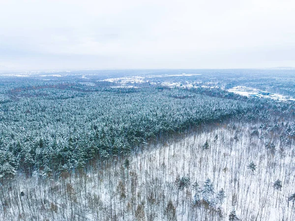 Aerial view of winter forest, snow covered trees. Winter landscape concept, beautiful view of winter forest recorded from drone. Drone view of the snowy forest.