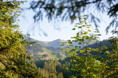 Dağların manzarası ve dağ manzarası. Güzel bir dağ manzarası konsepti, turizm.