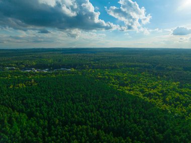 Ormanın büyük bölgelerinde havadan bir manzara. Orman manzarası konsepti, büyük orman. Çevresel koruma, doğaya özen.