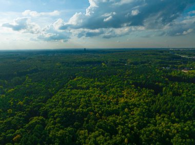 Ormanın büyük bölgelerinde havadan bir manzara. Orman manzarası konsepti, büyük orman. Çevresel koruma, doğaya özen.