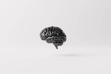 Black brain on an white background. Business concept, brain storming, looking for answers, ideas. Intelligence. 3d rendering, 3d illustration.