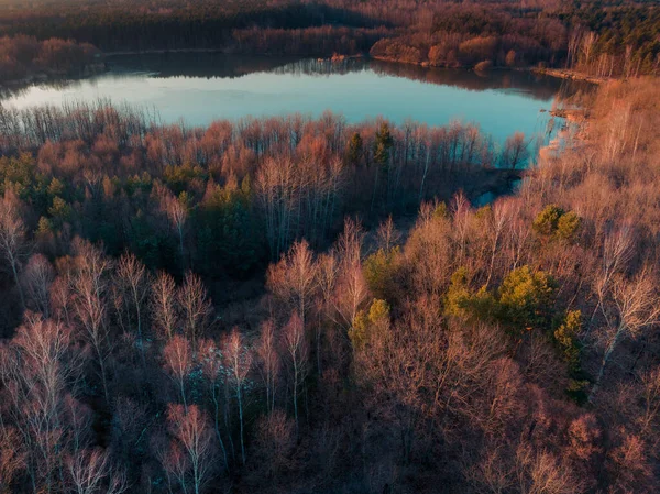 Forest Lake Pond Sunset Beautiful Sunset Water Trees View Drone — Φωτογραφία Αρχείου