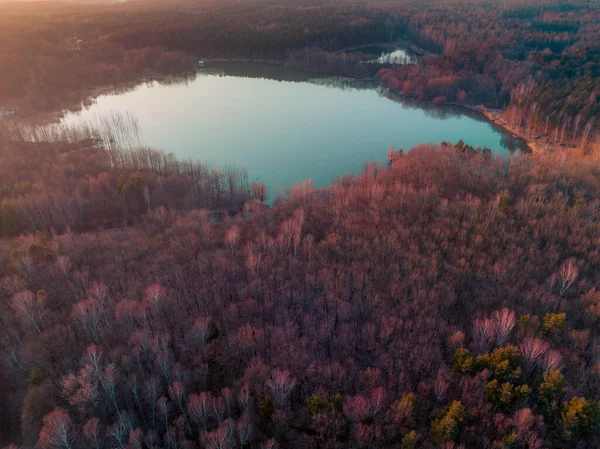 Forest Lake Pond Sunset Beautiful Sunset Water Trees View Drone — Φωτογραφία Αρχείου
