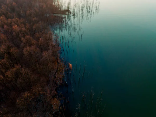 Forest Lake Pond Sunset Beautiful Sunset Water Trees View Drone — Stockfoto