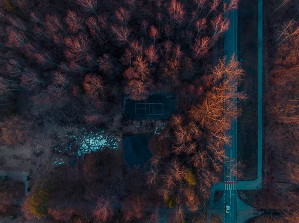 Blick Auf Einen Verlassenen Tennisplatz Mitten Wald Drohne Luftaufnahme Eines — Stockfoto