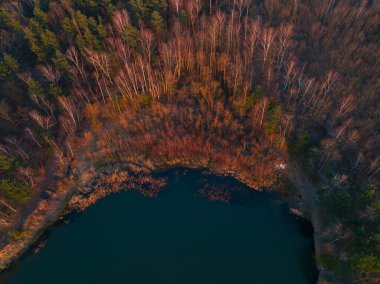 Forest by the lake, pond during sunset. Beautiful sunset over water and trees. View from the drone on the forest and lake, landscape.