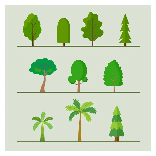 Stromy Plochý Vektorový Set Rostliny Prvek Kolekce Tropická Příroda Palmy — Stockový vektor