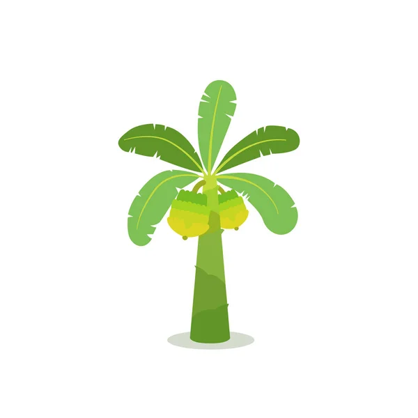 Banánový Strom Rovinatou Vektorovou Ilustrací Koncept Tropického Stromu — Stockový vektor