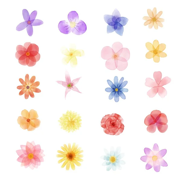 Mooie Bloemen Aquarel Set Illustratie Hand Tekenen Kleurrijke Bloemen — Stockfoto