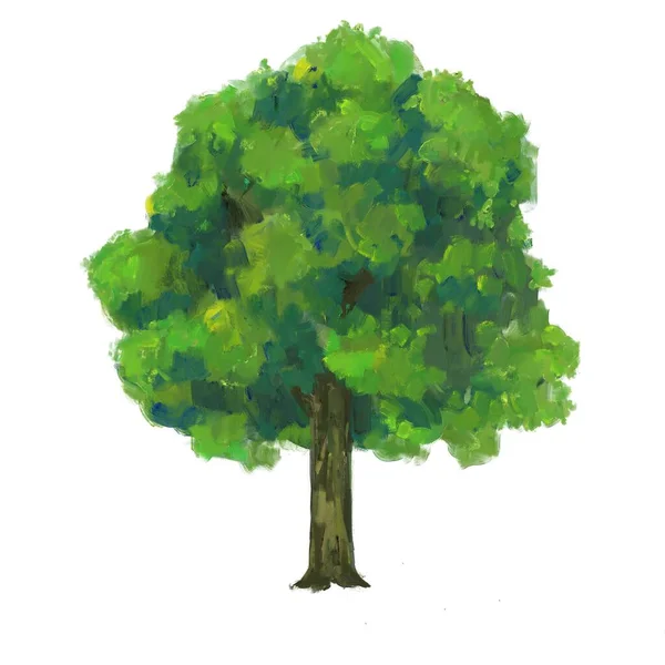 Ağaç Izole Edilmiş Yeşil Bitki Boyası Çizimi — Stok fotoğraf