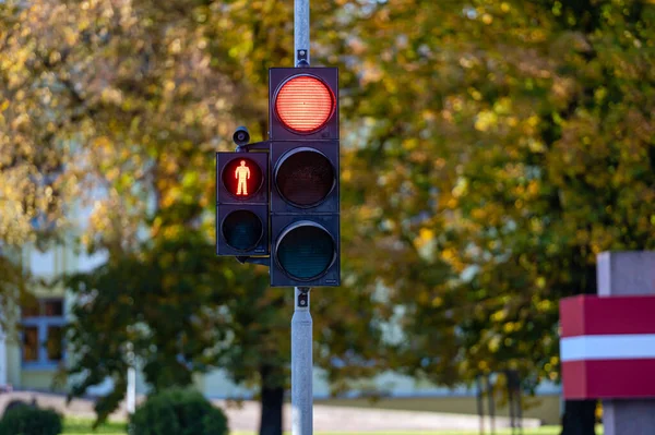 Piros Közlekedési Lámpa Szemafor Közeliben Fényes Színű Őszi Háttér — Stock Fotó