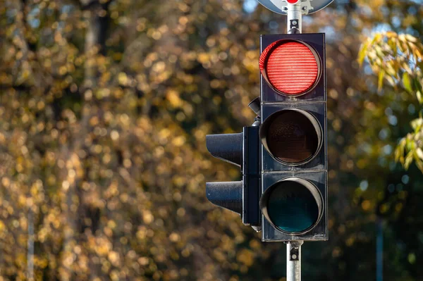 Semafor 'daki kırmızı trafik ışığı. Parlak renkli sonbahar arkaplanı.