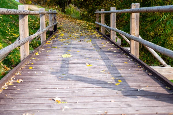Híd Gyalogosok Mellett Egy Vidéken Ősszel Őszi Természet Táj — Stock Fotó