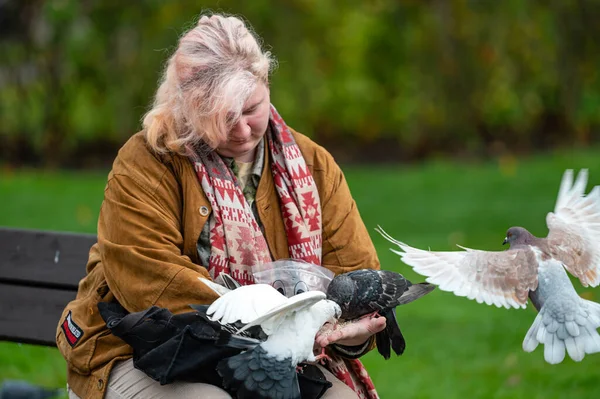 Riga Lettonie Novembre 2022 Femelle Sur Banc Nourrissant Des Pigeons — Photo