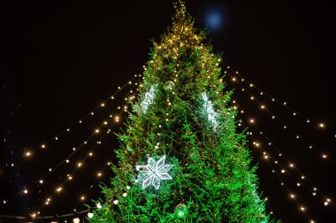 Arka plan olarak parlayan sarı Noel ışığı ile Köknar ağacı dalları