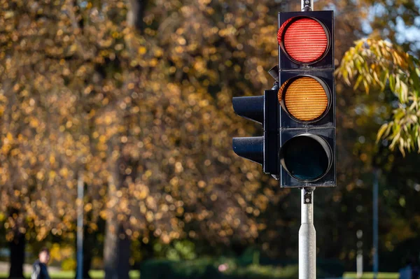 Red and orange traffic light in semaphore close-up. Bright colored autumn background.