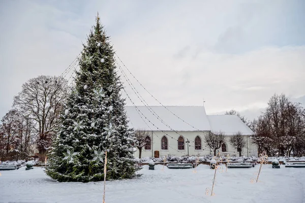 Decorated Christmas tree in a town square with a church in the background, Dobele, Latvia