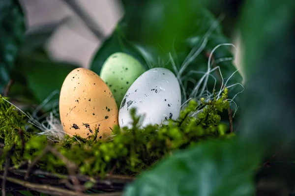 Bird Nest Colorful Easter Eggs Branches Green Trees Easter Decoration — ストック写真