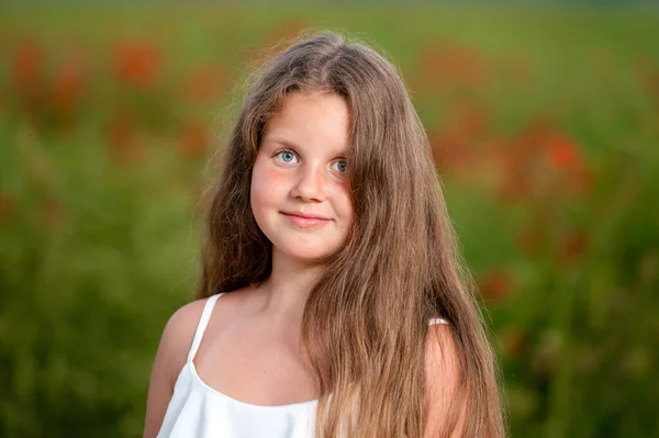 Portret Van Een Klein Meisje Tegen Achtergrond Van Een Veld — Stockfoto