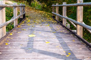 Wooden bridge for pedestrians next to a road in the countryside in autumn, Autumn nature landscape clipart