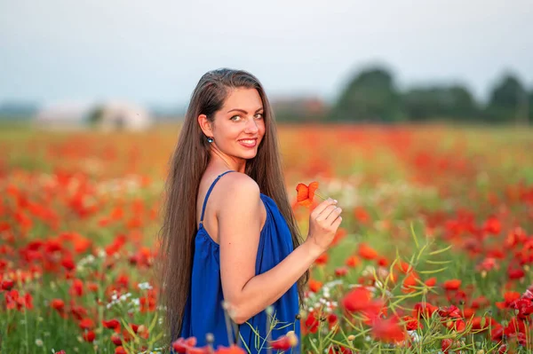 Retrato Mujer Joven Elegante Con Pelo Largo Campo Amapola Luz —  Fotos de Stock