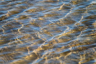 Kristal berrak su yüzeyi. Kum, çakıl taşı. Soyut doğal desen, boşluğu kopyala