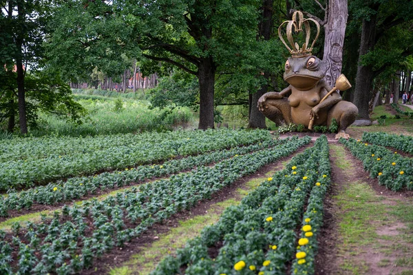 立陶宛Pakruojis 2023年7月1日 在Pakruojis庄园举行花节 公园里的青蛙女王雕塑 — 图库照片
