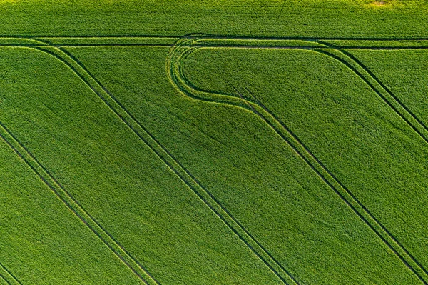 緑の農地が広がり抽象的な自然パターンができます — ストック写真