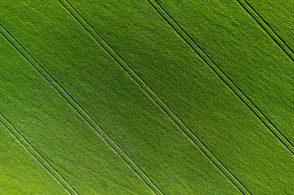 Зелене Сільськогосподарське Поле Зверху Вітряних Смуг Абстрактний Природний Візерунок — стокове фото