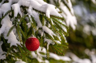 Christmas tree with snow and Christmas ball, festive, winter background with bokeh.