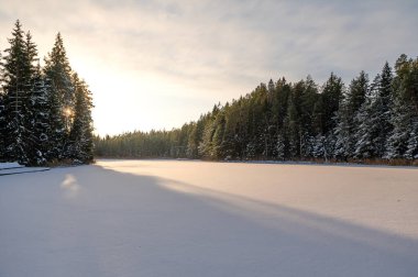 The magic of snow on the snow-covered, forested Lake Melnezers, in the rays of the evening sun