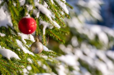 Christmas tree with snow and Christmas ball, festive, winter background with bokeh.